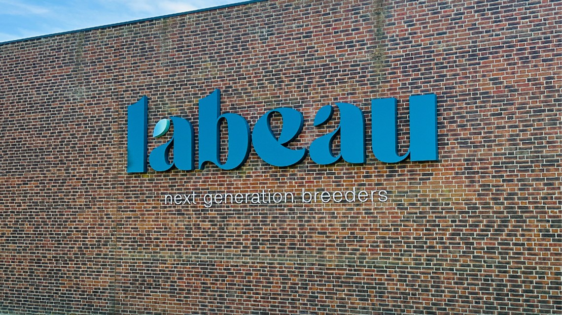 Labeau Gevelreclame 1