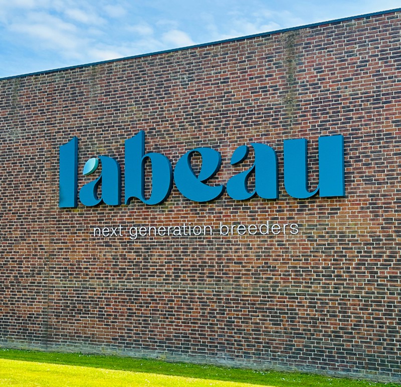 Labeau Gevelreclame 1